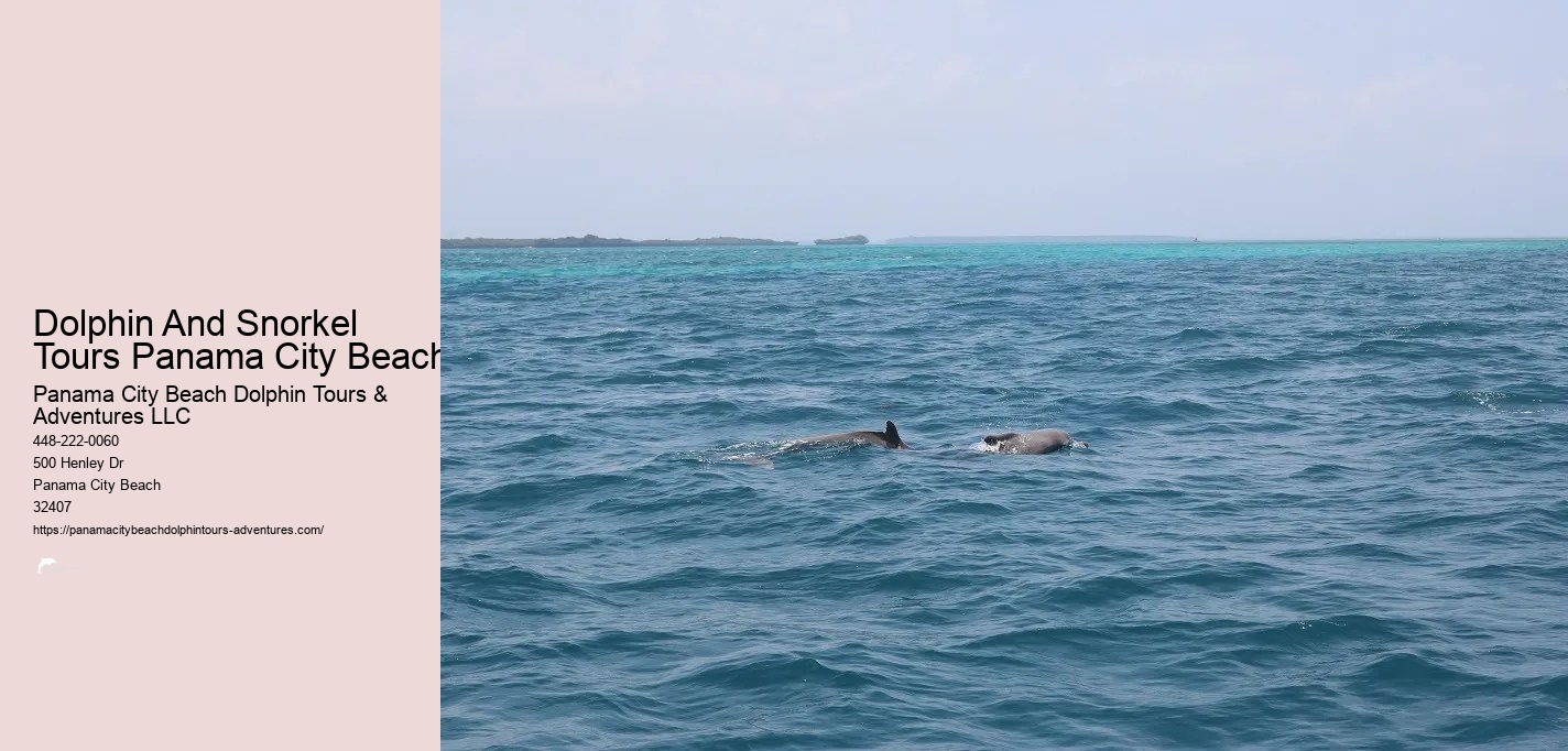 Dolphin And Snorkeling Tours Panama City Beach