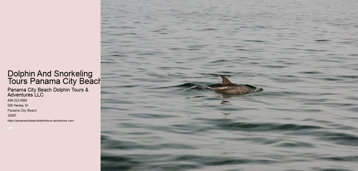 Panama City Beach Snorkeling Tour