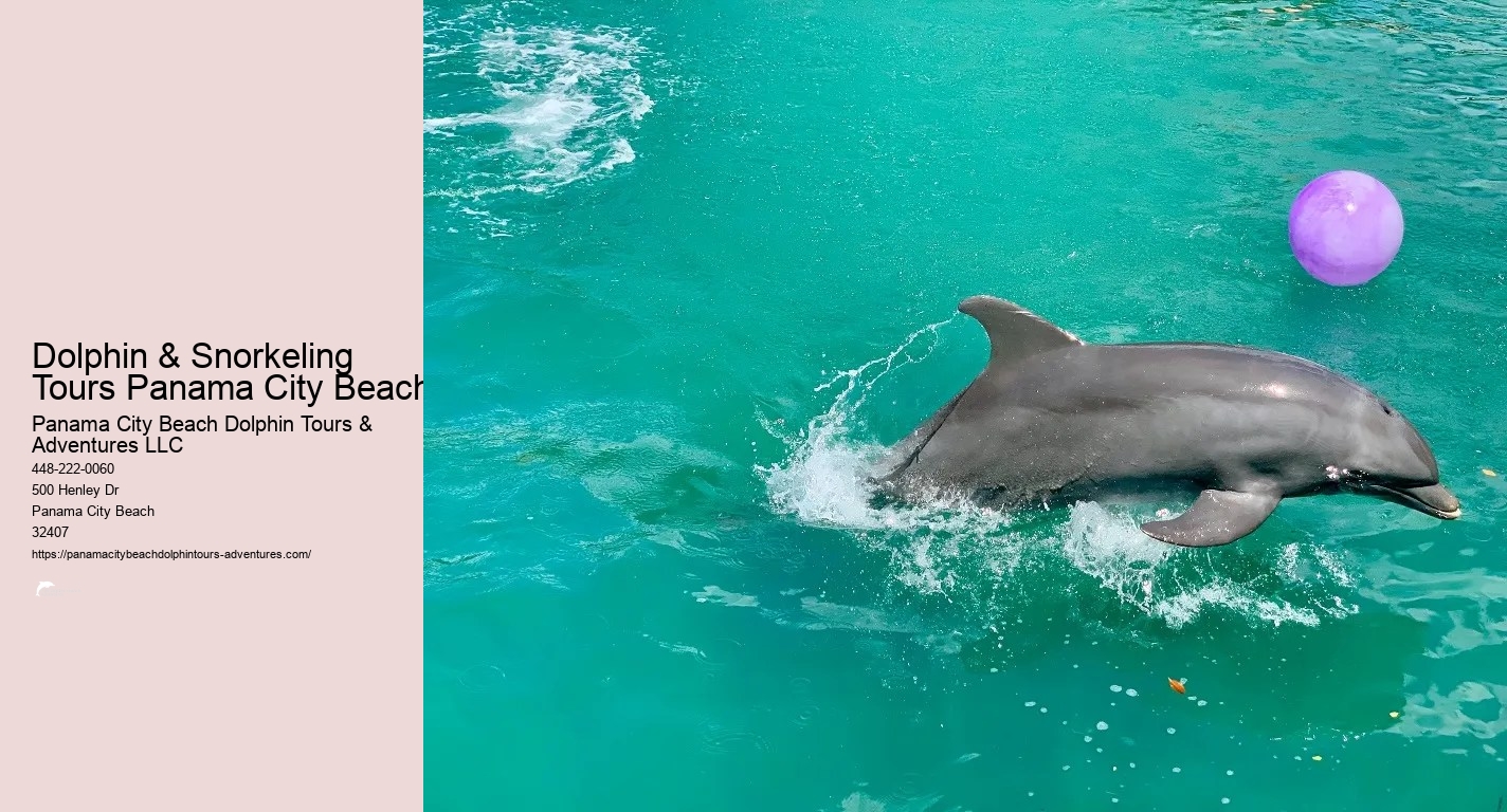 Dolphin & Snorkeling Tours Panama City Beach