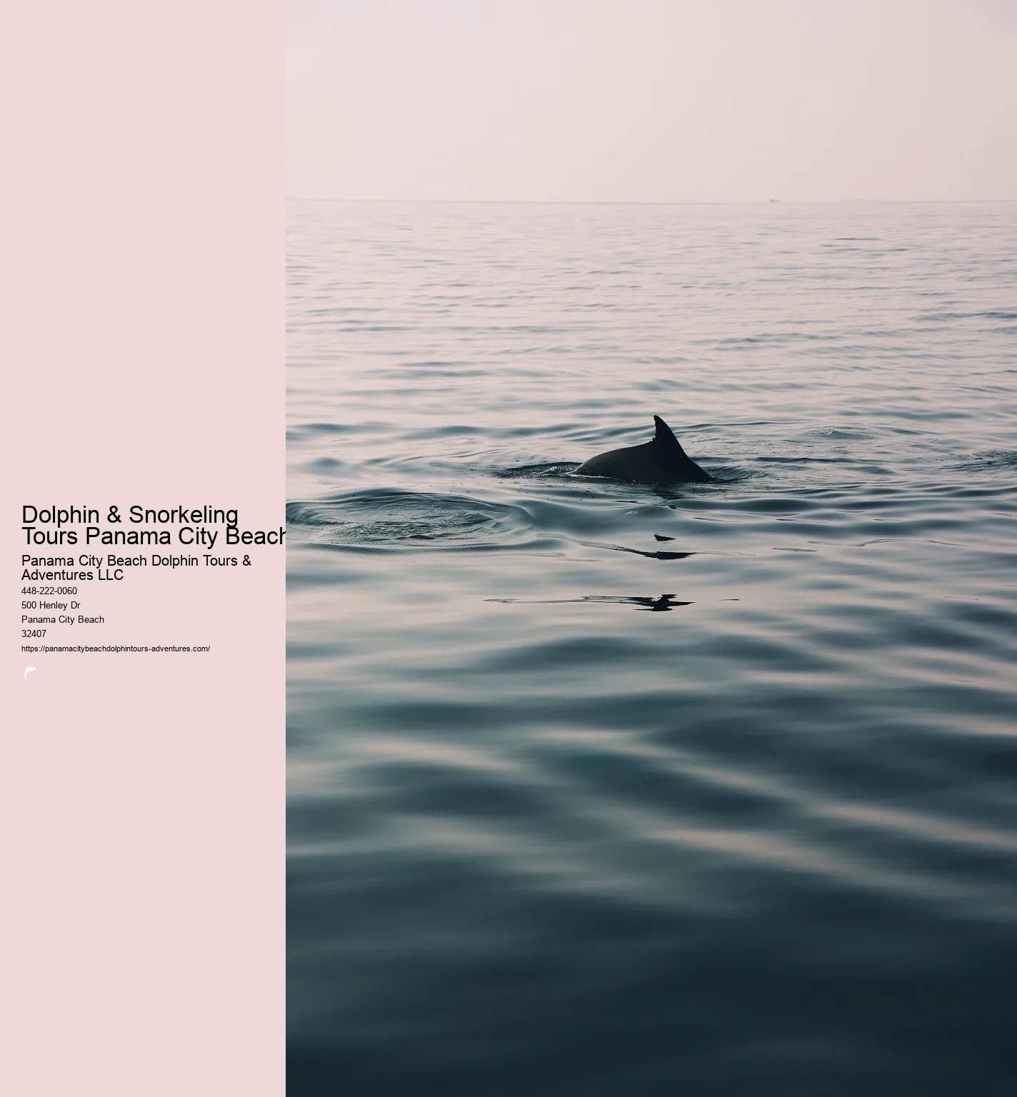 Shell Island Snorkeling