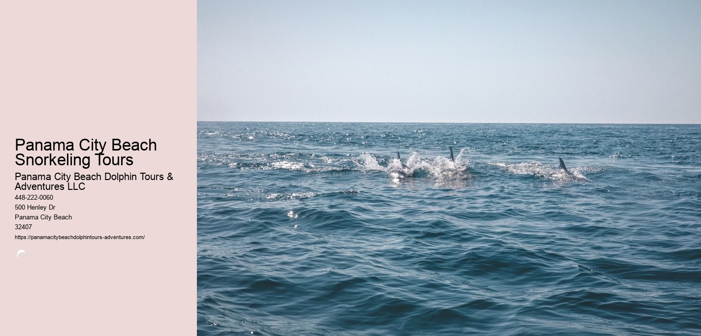 Snorkeling Trips Panama City Beach