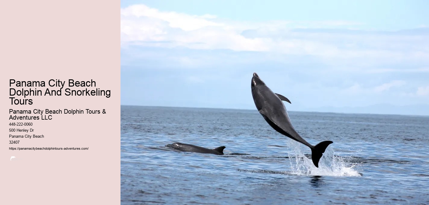 Snorkeling Tours Panama City Beach