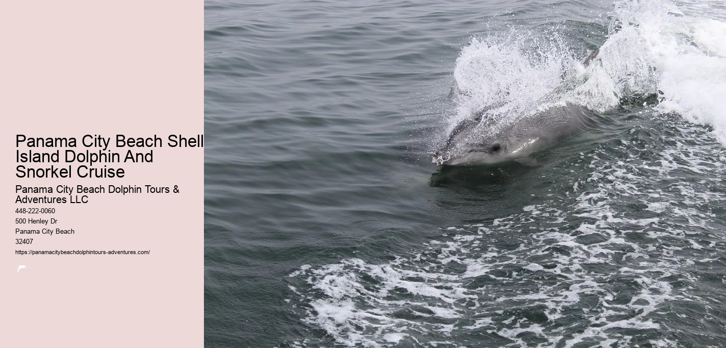 Dolphin And Snorkel Tours Panama City Beach