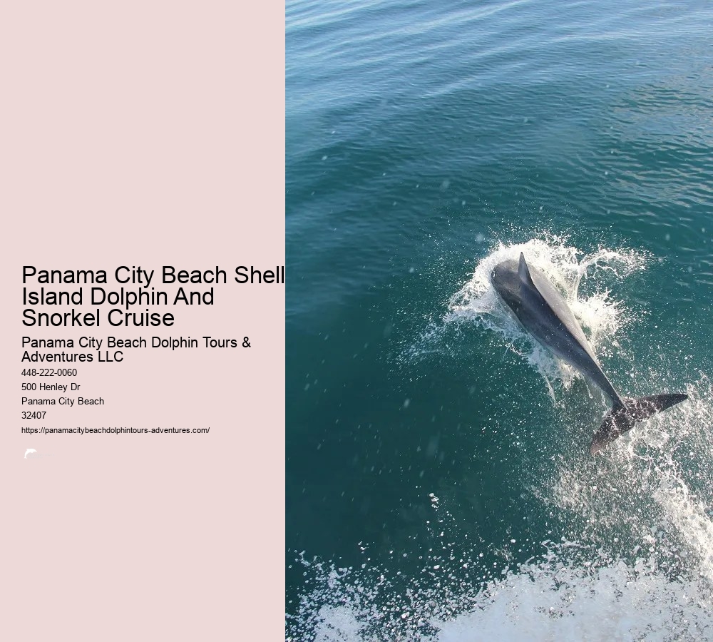 Snorkel Tour Panama City Beach