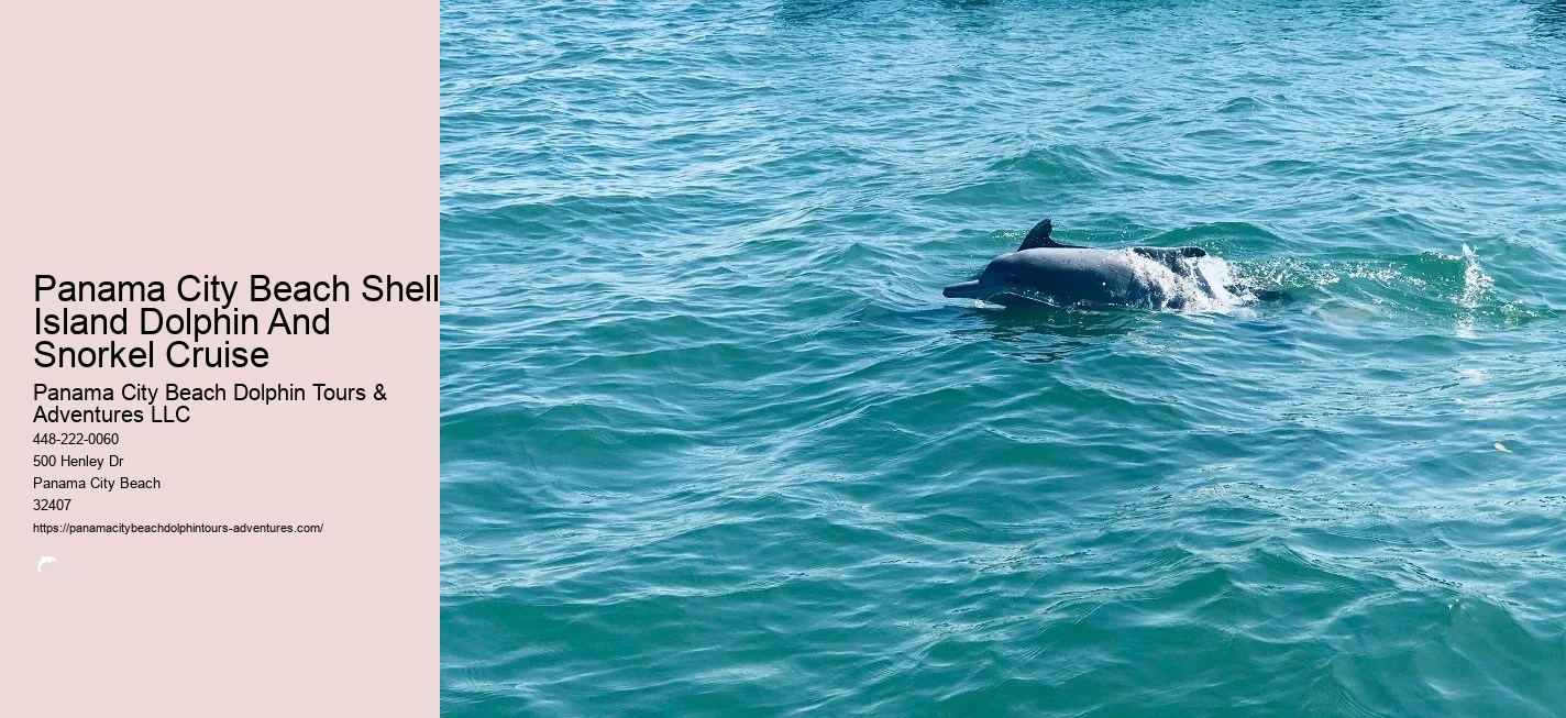 Snorkeling In Panama City Beach Florida