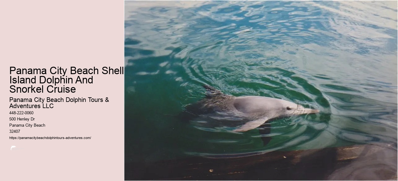 Snorkeling Tours In Panama City Beach Fl