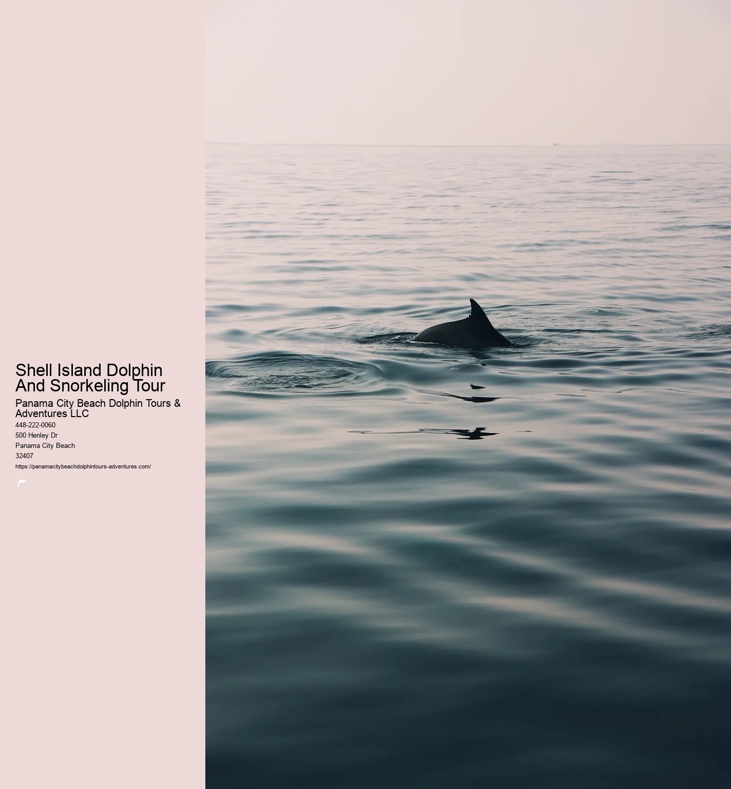 Dolphin And Snorkel Tours Panama City Beach