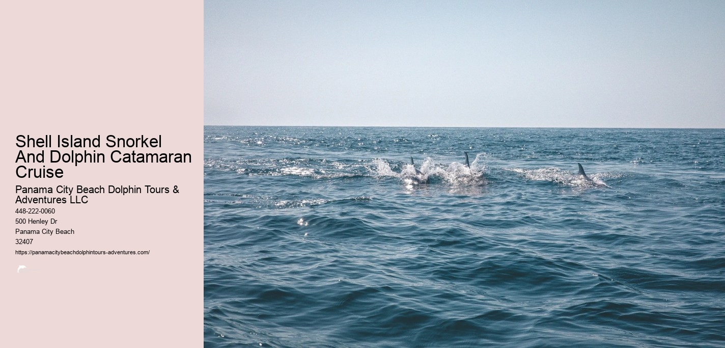 Snorkeling In Panama City Beach Florida