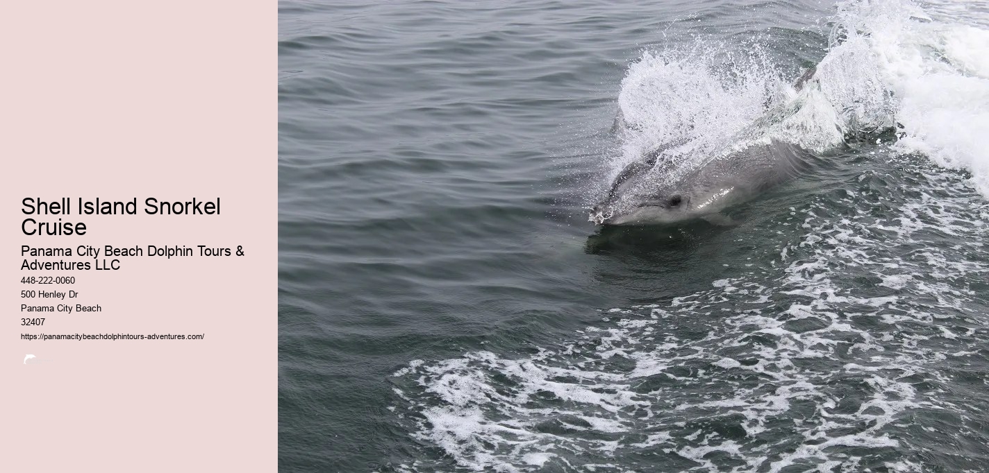 Dolphin & Snorkeling Tours Panama City Beach