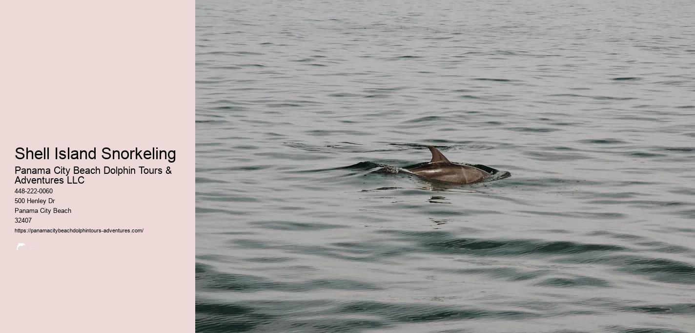 Panama City Beach Shell Island Dolphin And Snorkel Cruise