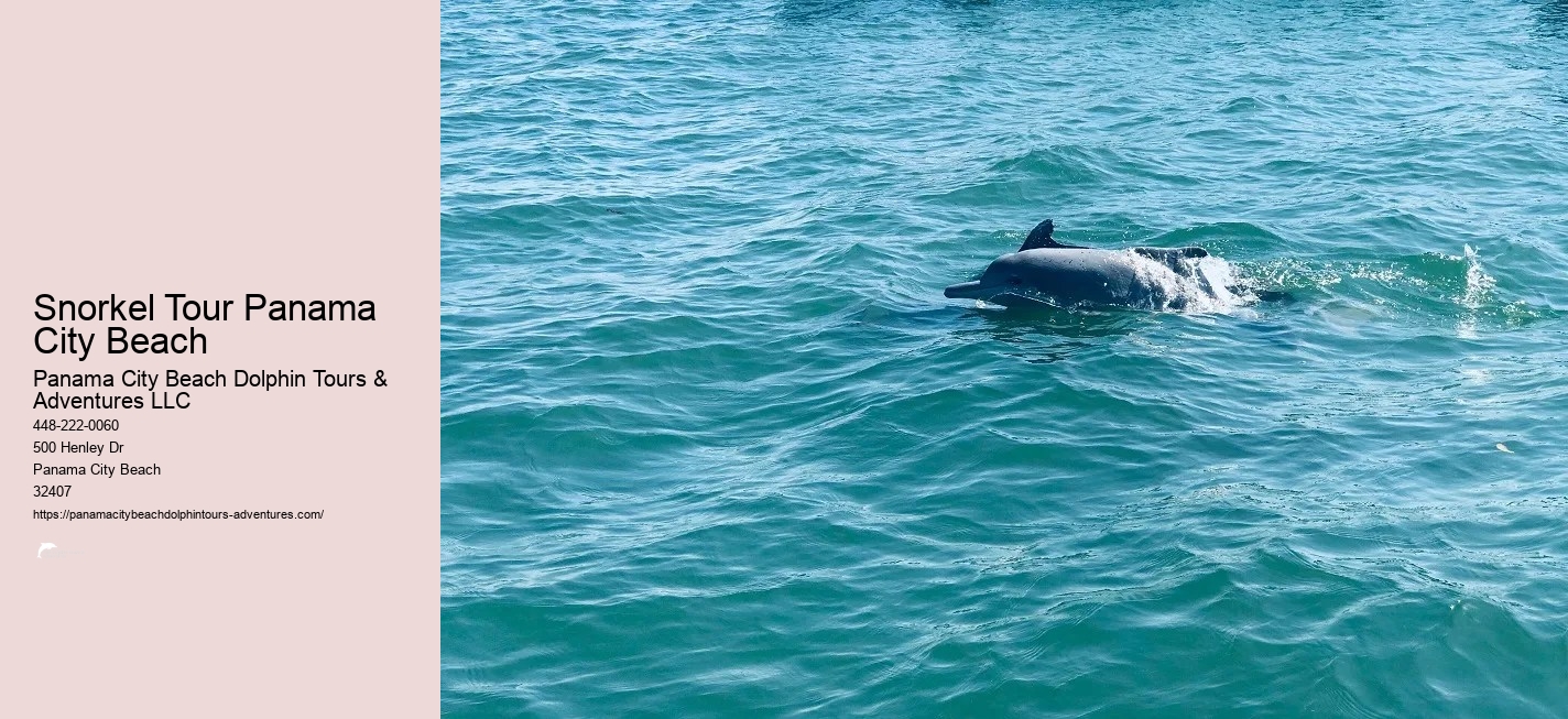 Panama City Beach Snorkeling Tour