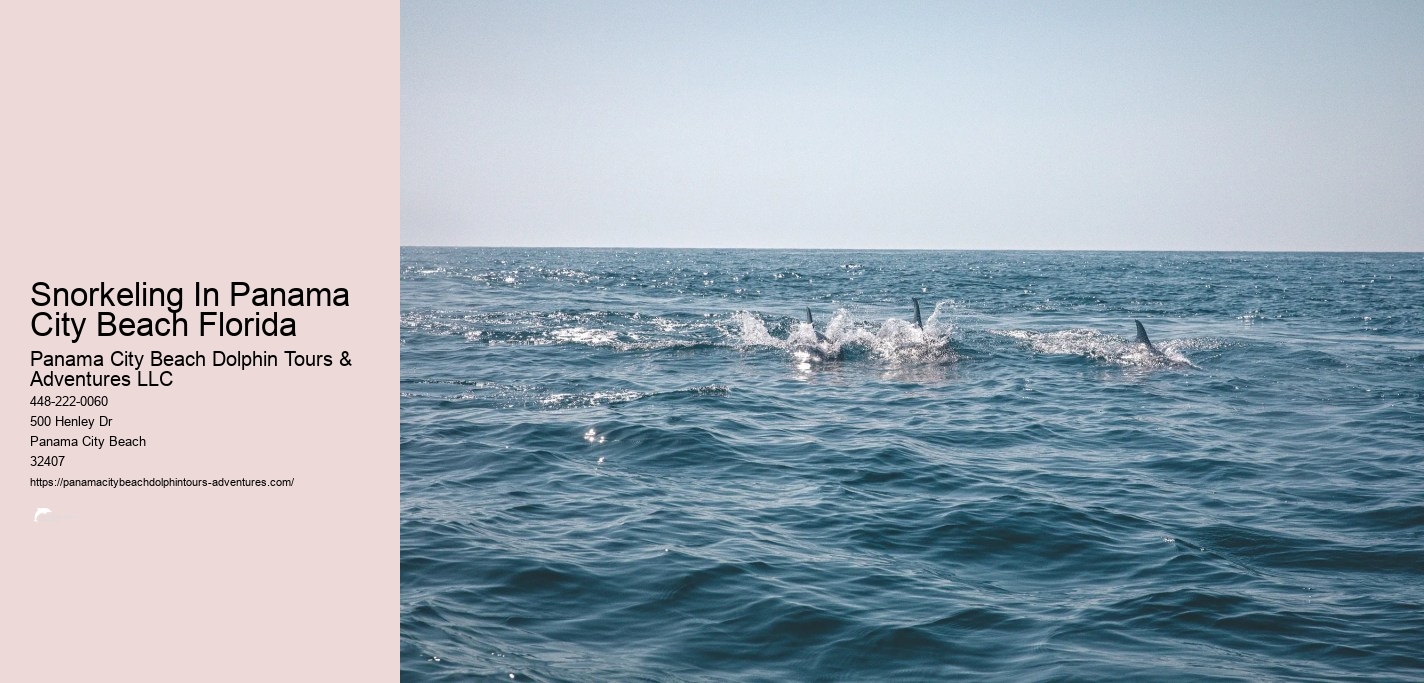 Panama City Beach Snorkeling Tour