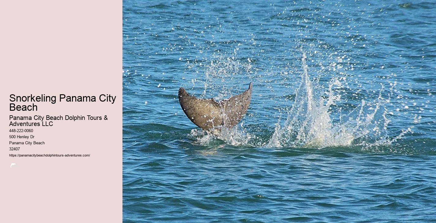 Panama City Beach Snorkeling Tour