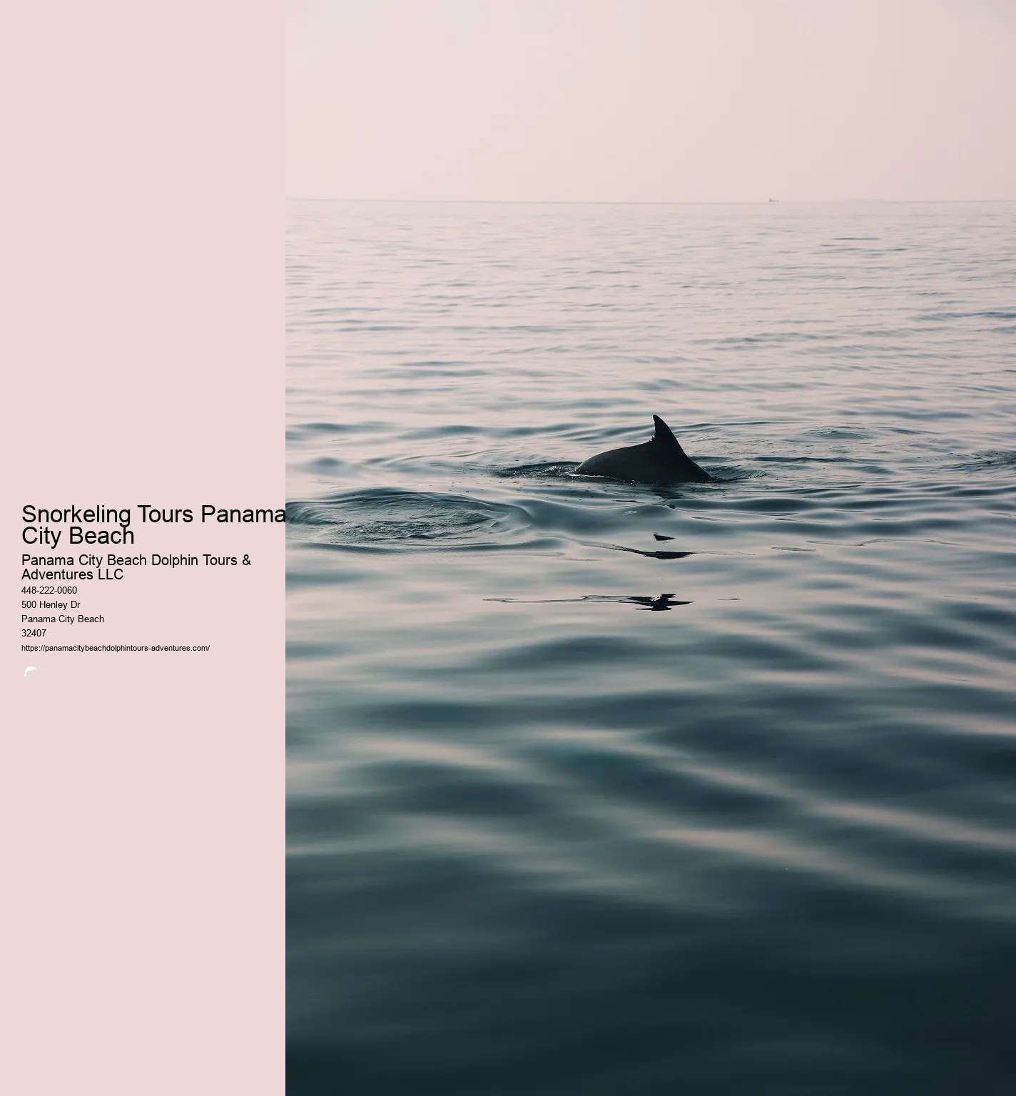 Shell Island Dolphin And Snorkeling Tour