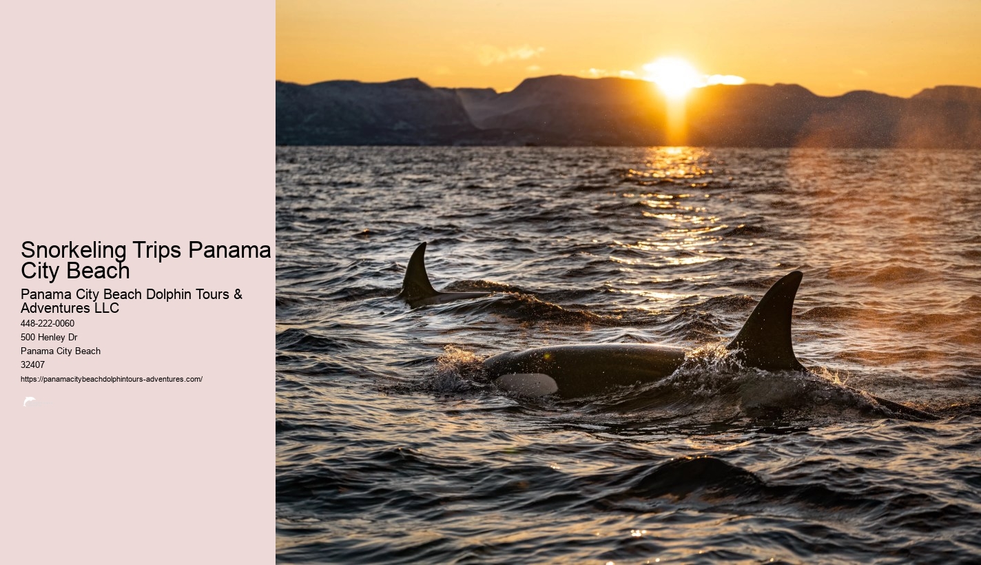 Snorkeling Trips Panama City Beach